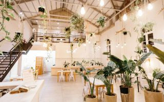 Rekomendasi & Tips Bunga Dekorasi Cafe, Pemilik Cafe Wajib Tau!