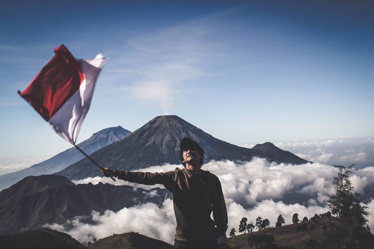 Hari Kemerdekaan Indonesia: Sejarah dan Refleksi 2024