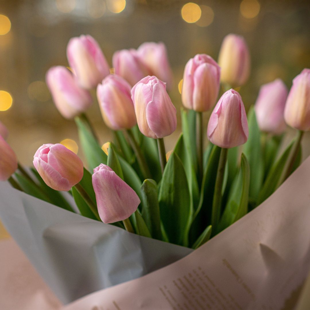 Inspirasi Desain Buket dengan Bunga Tulip untuk Acara Spesial