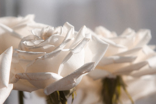 Buket Bunga Mawar untuk Pacar, Makna dan Filosofi Mendalam