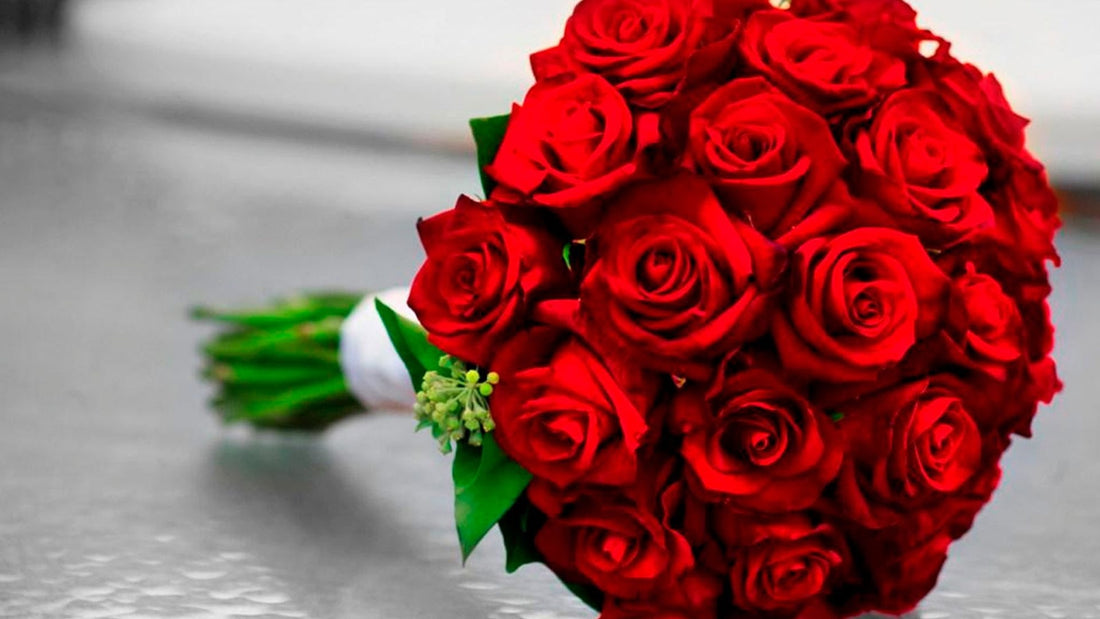 3 Bunga Mawar Paling Romantis untuk Ungkapkan "Aku Cinta Kamu"