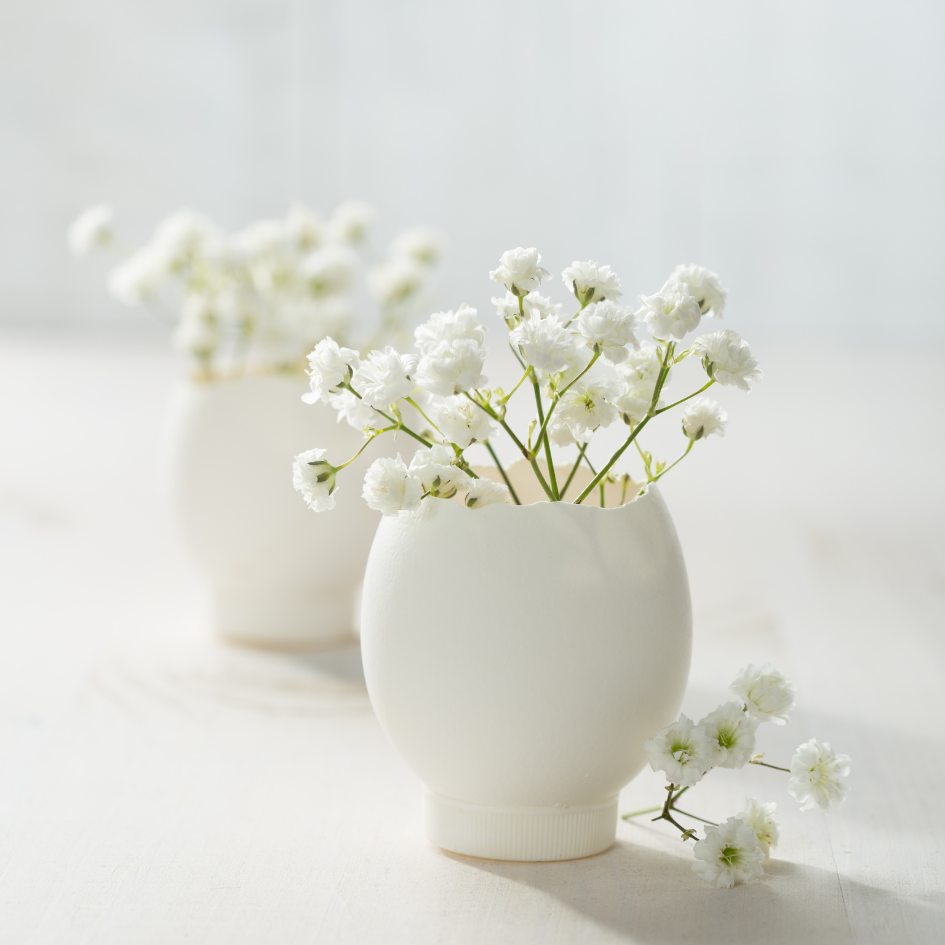 Mengenal Baby Breath, Bunga Kecil yang Memikat Hati