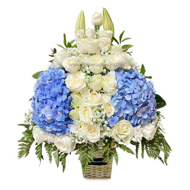 Mengenal Hydrangea, Bunga untuk Permintaan Maaf