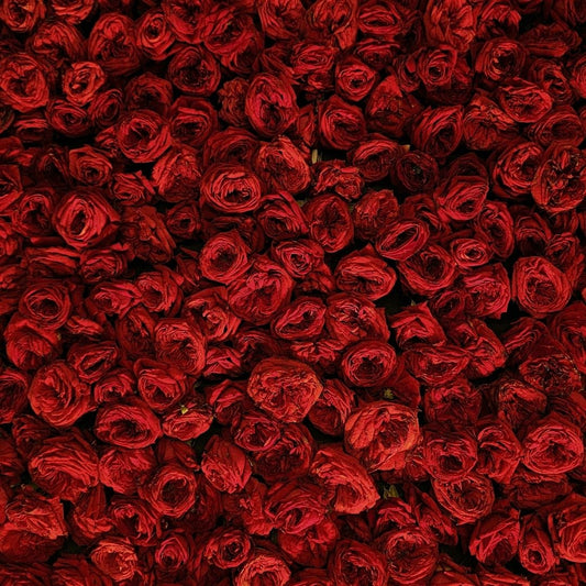3 Bunga Mawar Paling Romantis untuk Ungkapkan "Aku Cinta Kamu"