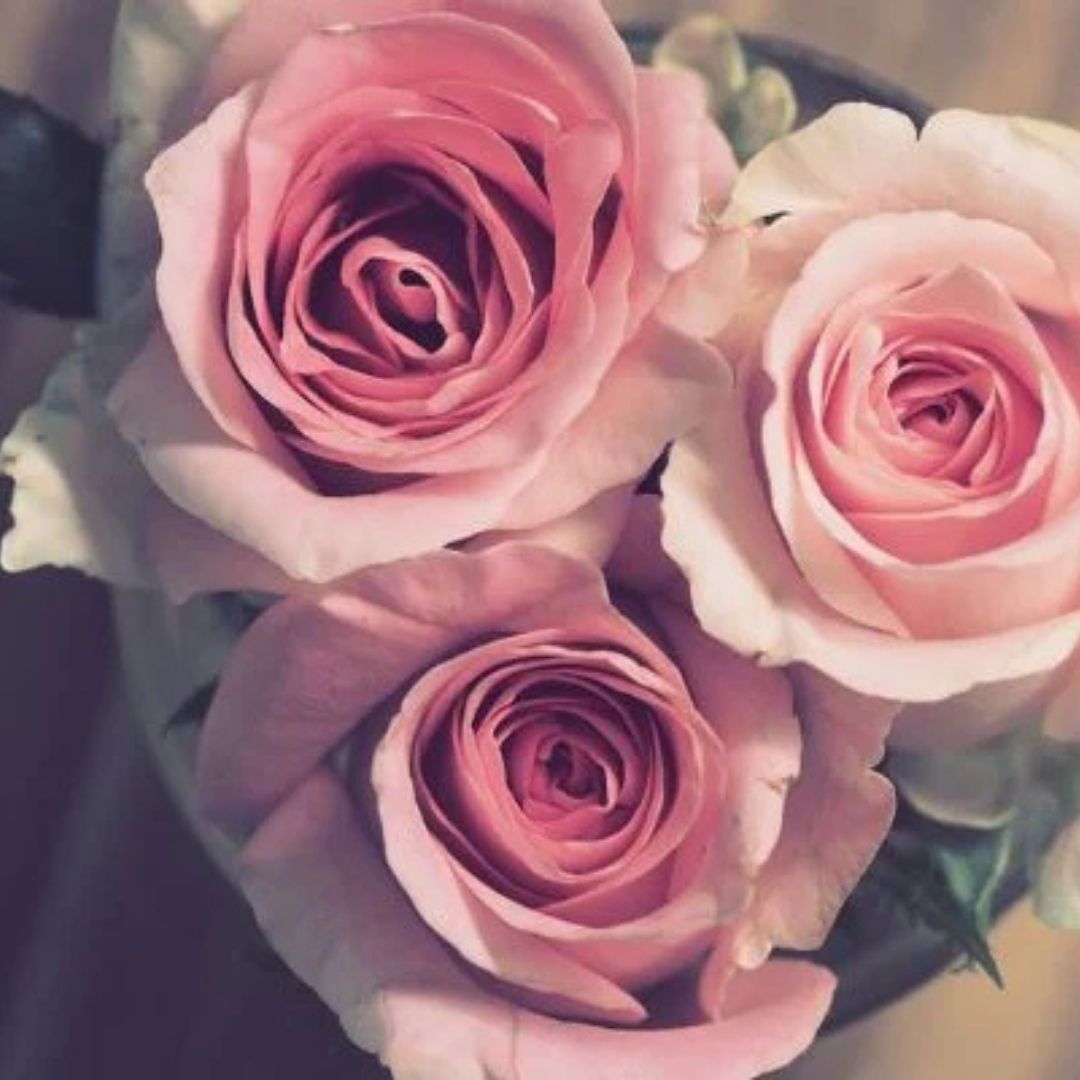 10 Ide Hadiah Romantis Murah Tapi Berkesan untuk Istri atau Pacar