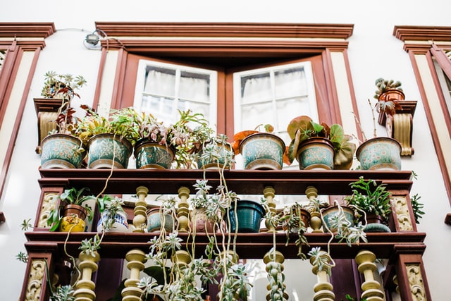 4 Inspirasi Design Tanaman Depan Untuk Mempercantik Halaman Depan Rumah Anda