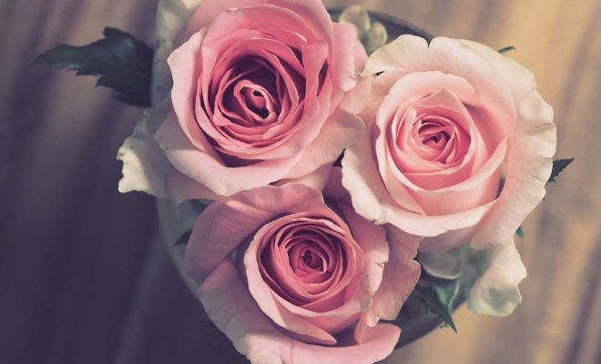 10 Ide Hadiah Romantis Murah Tapi Berkesan untuk Istri atau Pacar