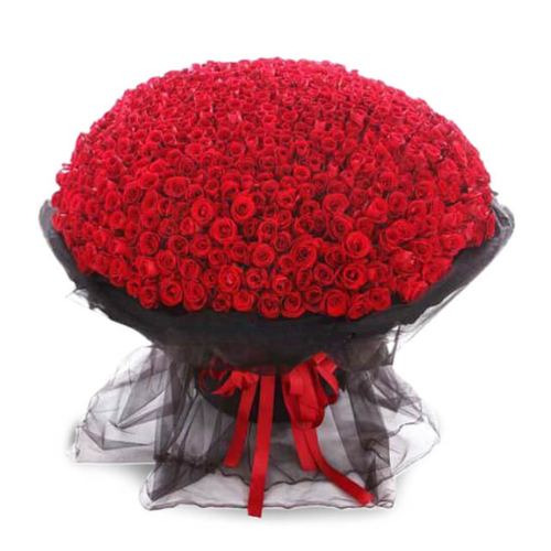 365 Luxury Red Roses