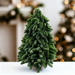 Fairy Tale Christmas Tree - Pohon Natal Asli