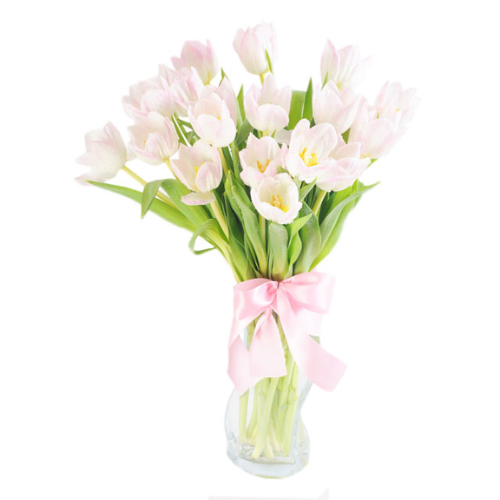 bunga tulip