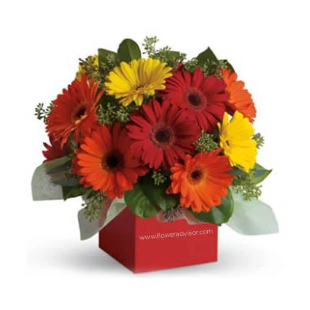 Buket bunga gerbera merah kuning segar dari online florist, dikemas rapi dalam kotak merah