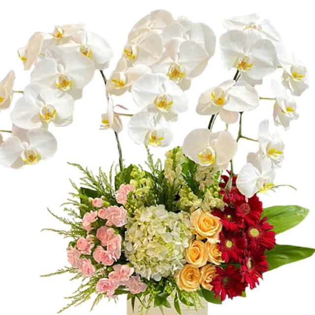 Buket bunga mawar, anggrek, dan gerbera dari online florist, ideal untuk hadiah spesial