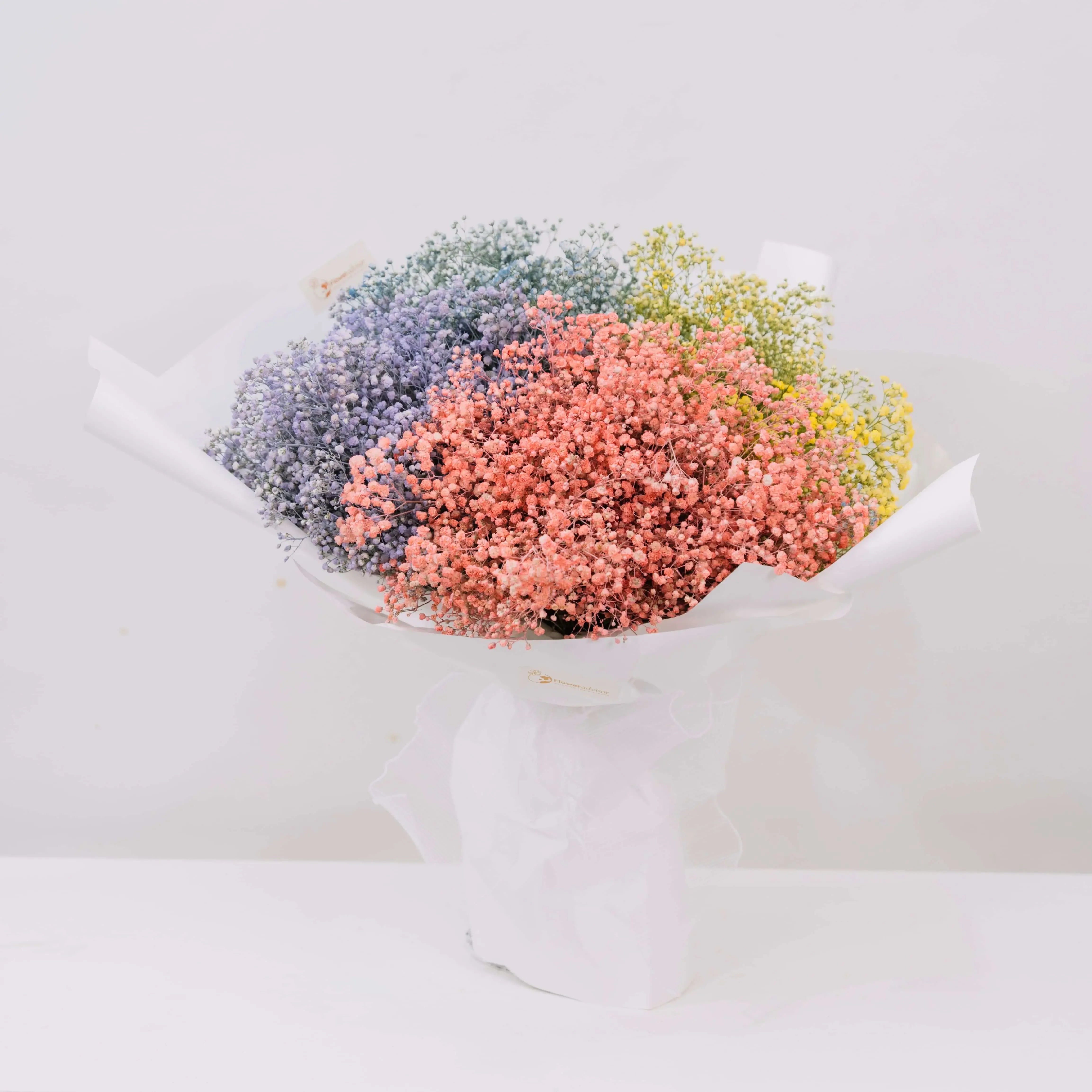 Odette Baby Breath