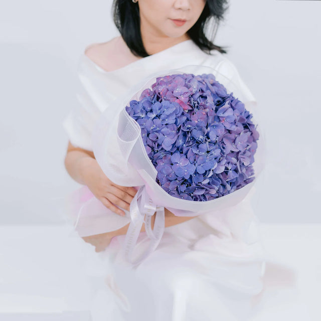 Violet Haze Hydrangea