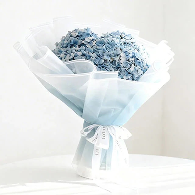 Hydrangea  Ocean Serenade