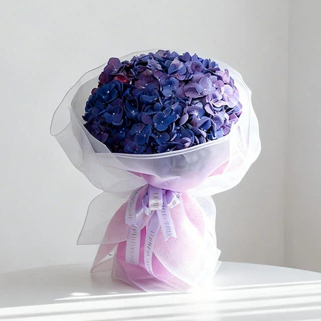 Violet Haze Hydrangea
