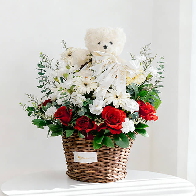 Teddy Serene Hues