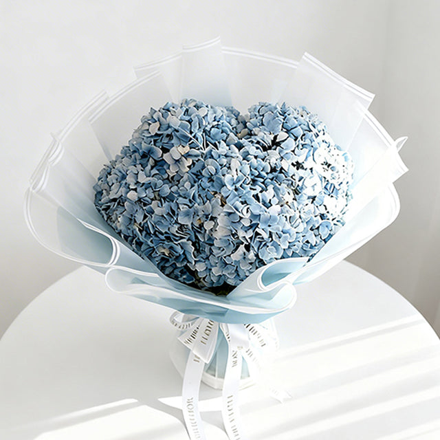 Hydrangea  Ocean Serenade