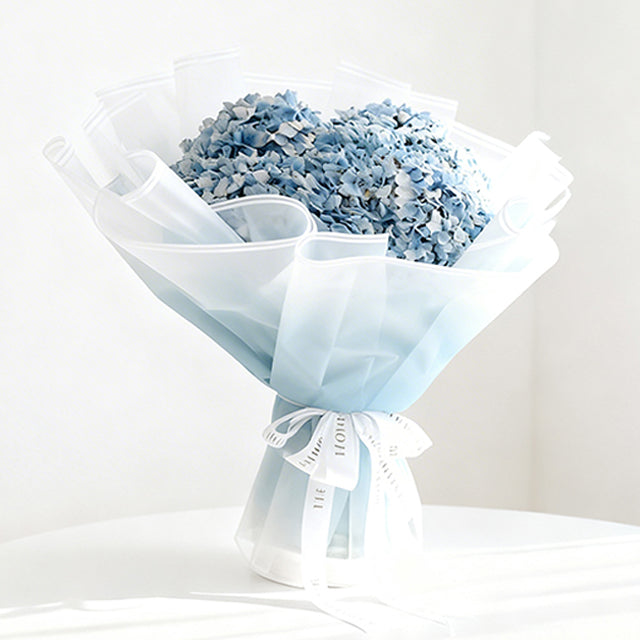 Hydrangea  Ocean Serenade