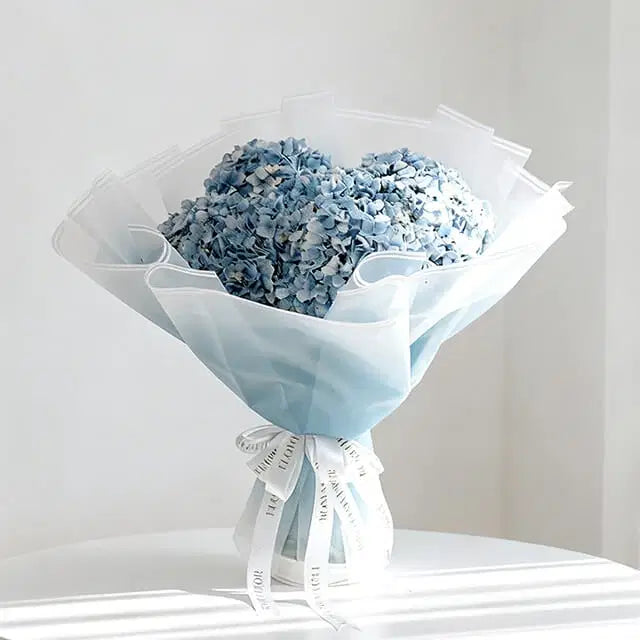 Hydrangea  Ocean Serenade