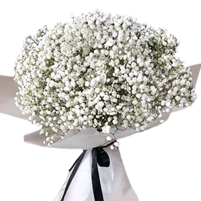 Innocent Baby Breath