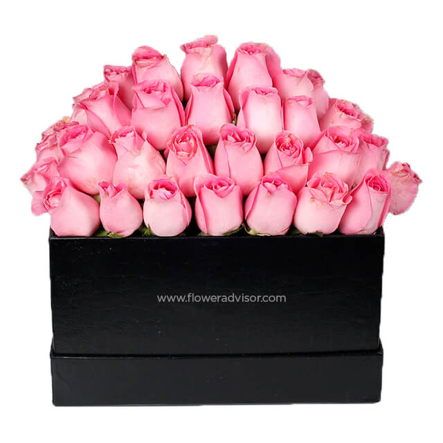 40 Pink Roses