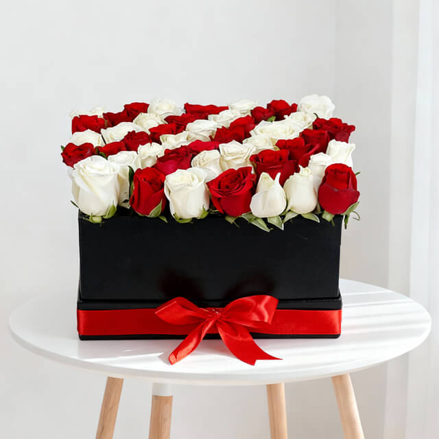 Feeling 22 (Fusion 22 Red & White Roses)