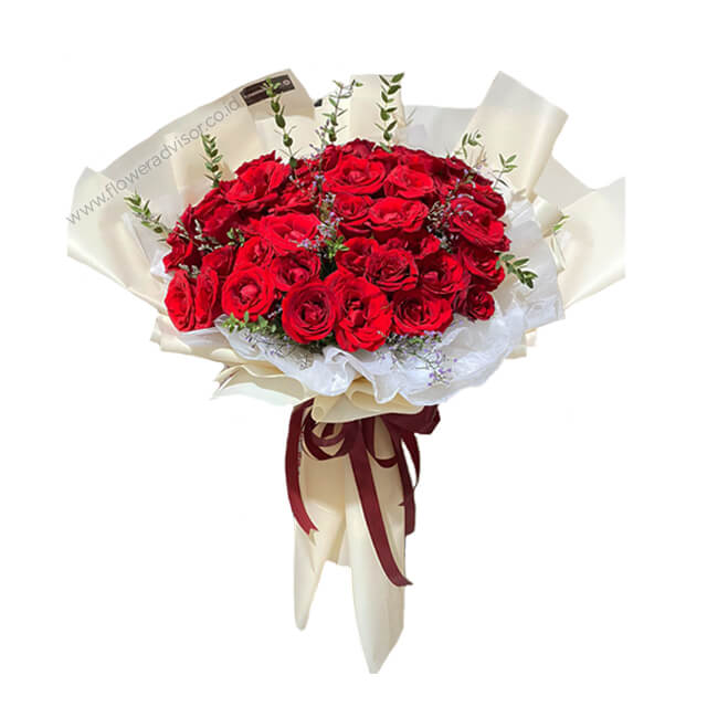Harper (44 Tangkai Mawar Merah)