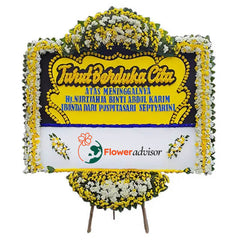 A Brighter Day Tomorrow