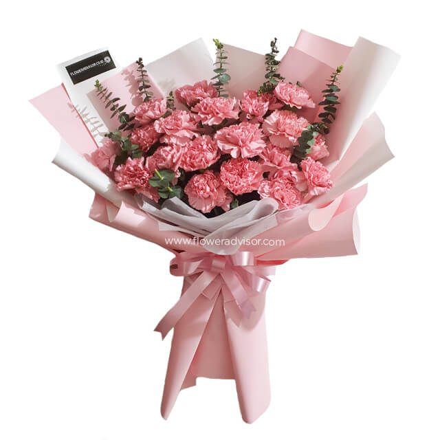 20 Carnations Bouquet - Loving Dimension