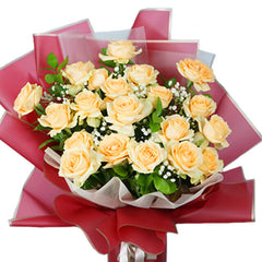 Wonder Peach Melba Rose