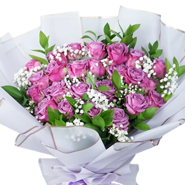 Wonder Queen Purple Rose