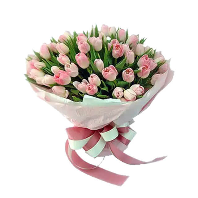 Tulips Garden Symphony