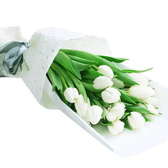 Tulips Bloom Breeze