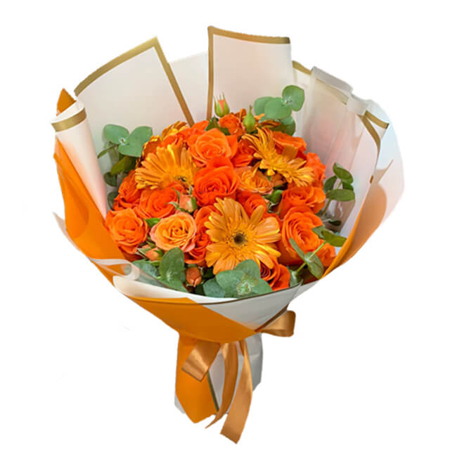 All Orange