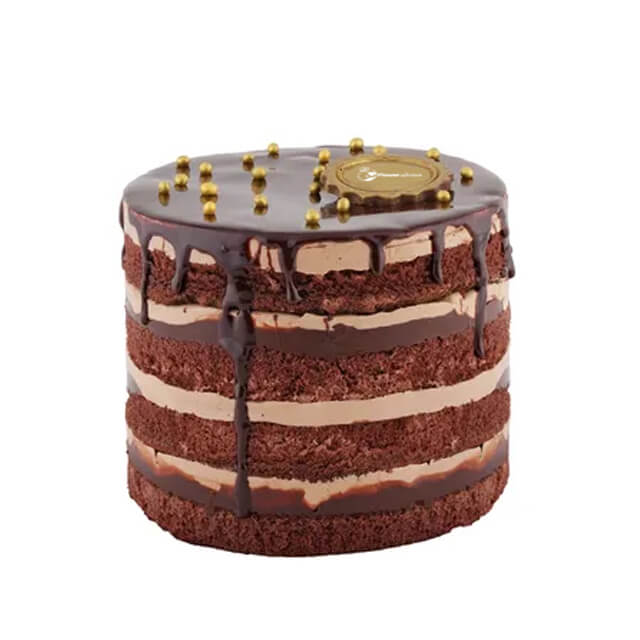 Golden Chocolate Cake
