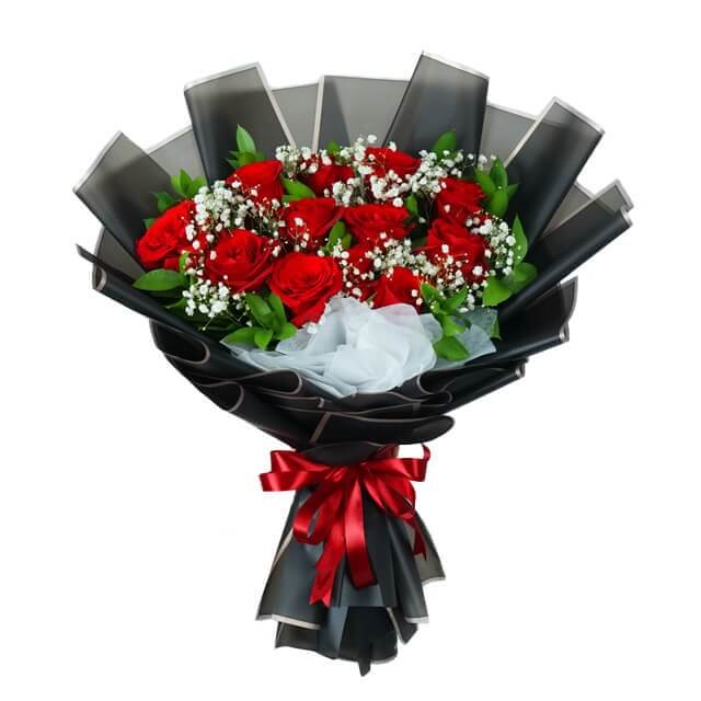 Wonder Red Radiance Rose Mothers Day 2025