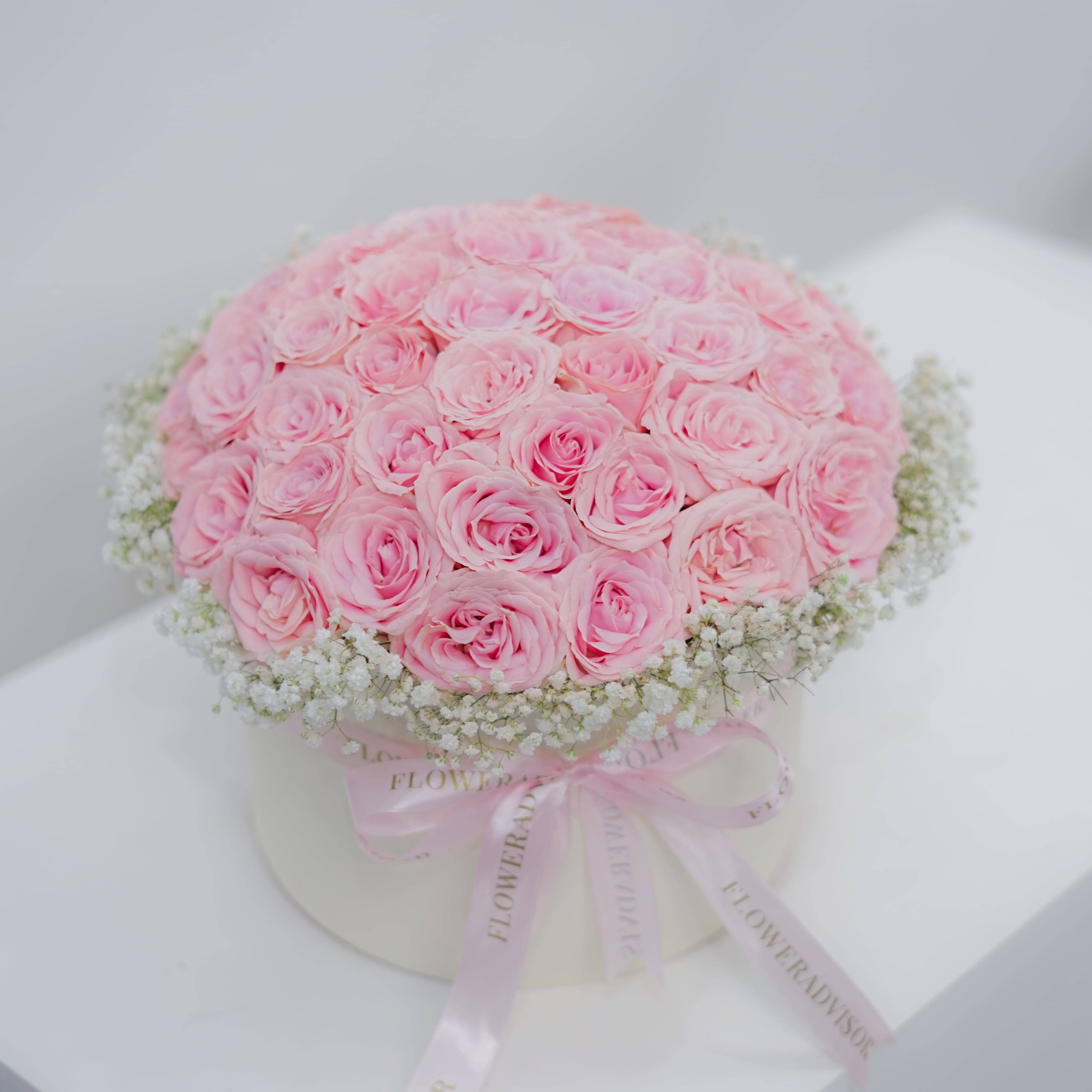 Daydream Rose