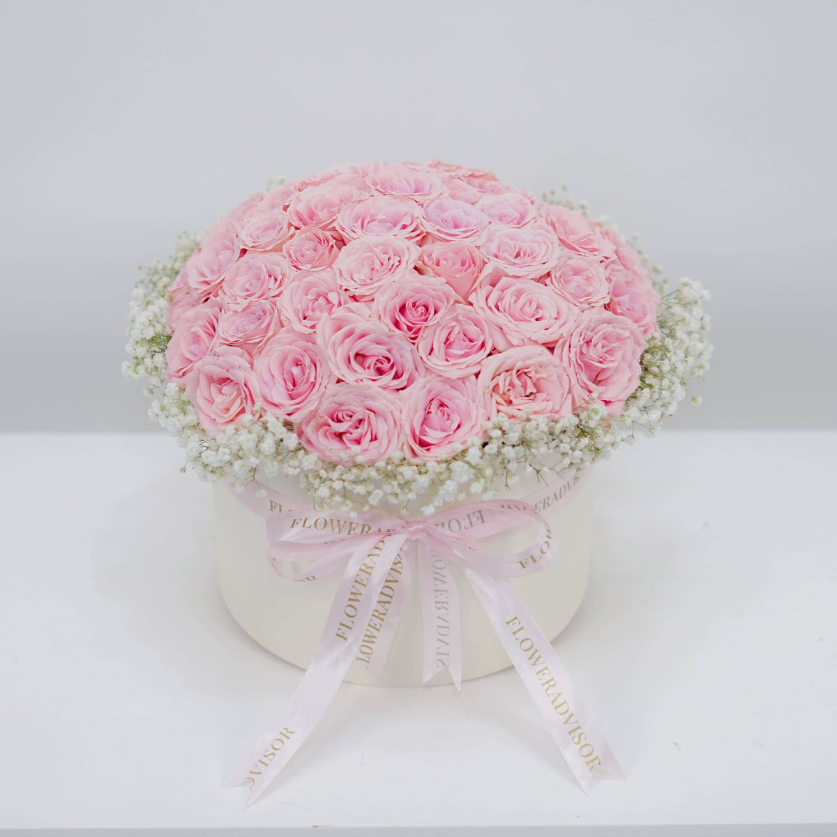 Daydream Rose