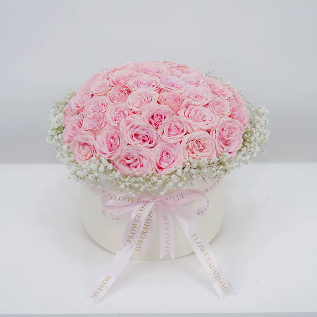 Daydream Rose