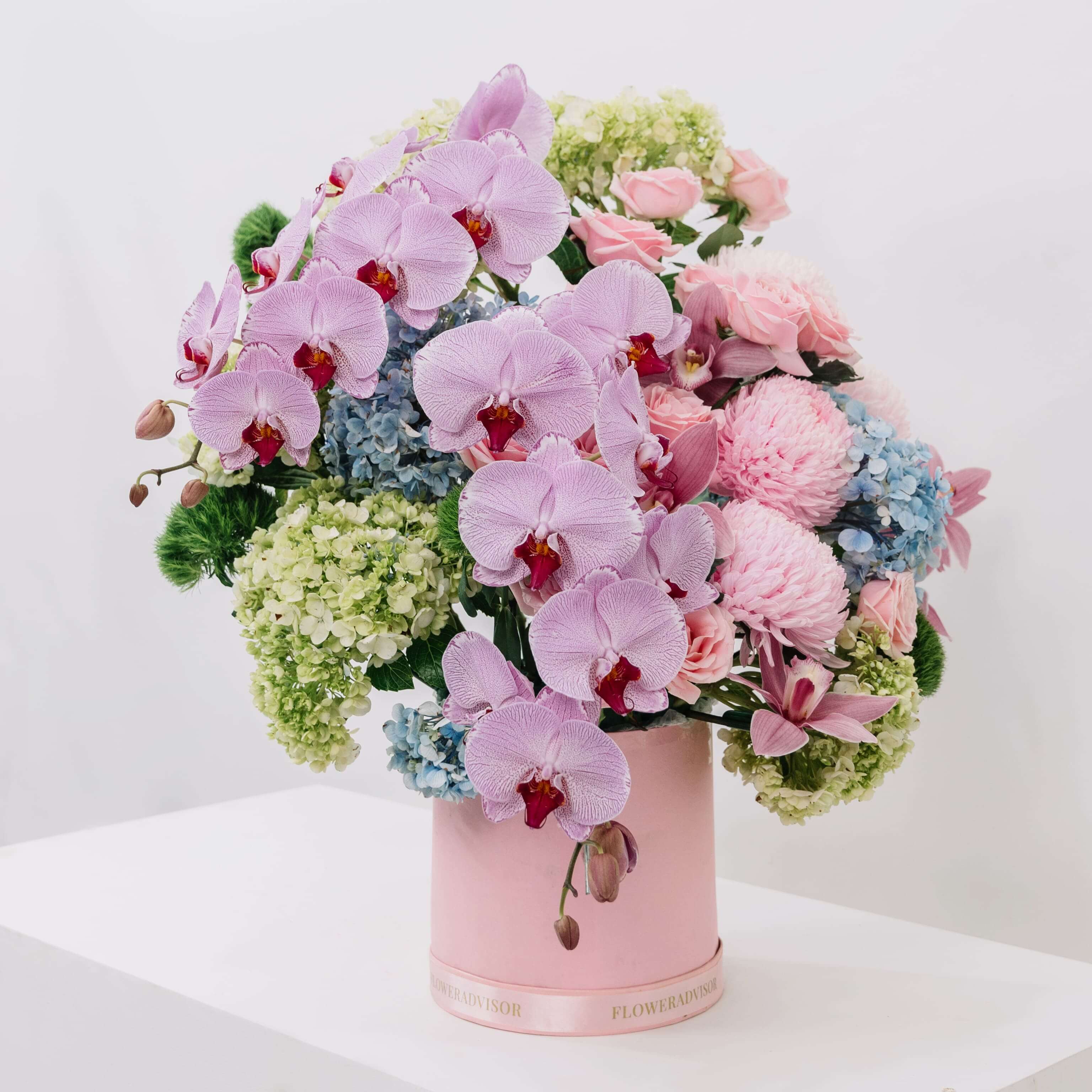 Annika Enchanted Garden