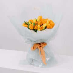 Shimmer Tulip Grace