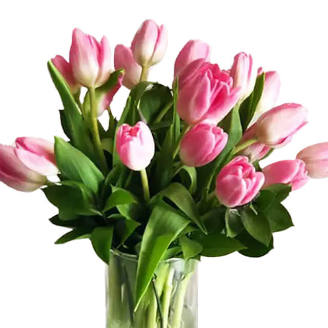 Morgen Schatje - Luxury Tulip Vase