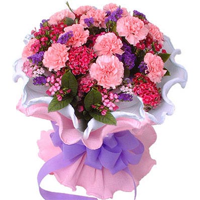 Beautiful Carnations