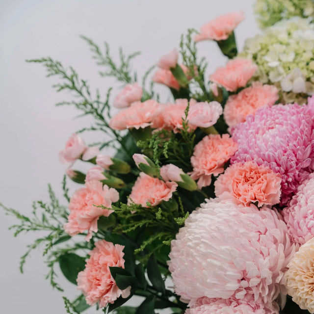 Mariposa Majesty Flowers