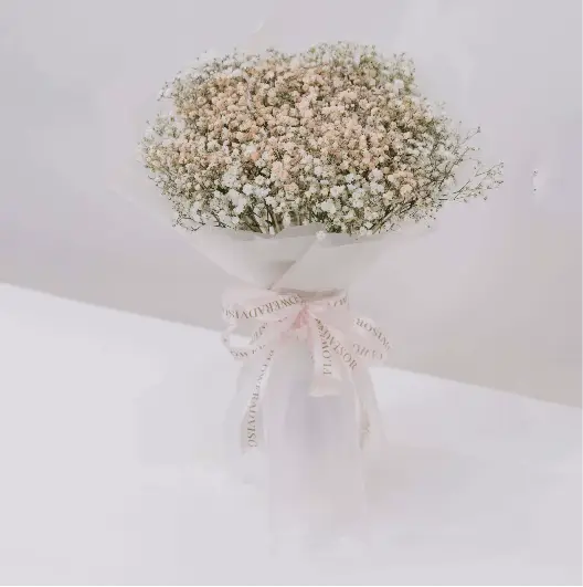 Whimsy Baby Breath