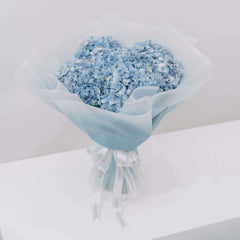 Hydrangea  Ocean Serenade