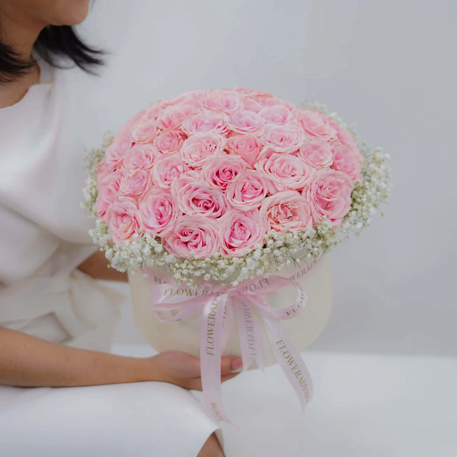 Daydream Rose