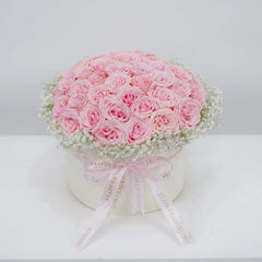 Daydream Rose