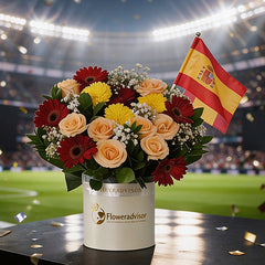 La Roja Champion Box